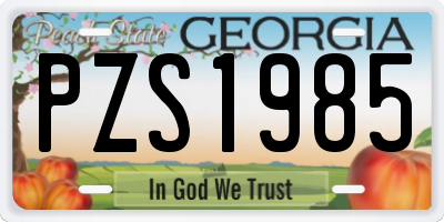 GA license plate PZS1985