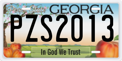 GA license plate PZS2013
