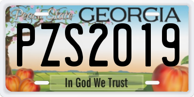 GA license plate PZS2019