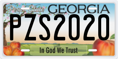 GA license plate PZS2020