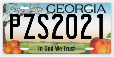 GA license plate PZS2021