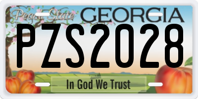 GA license plate PZS2028