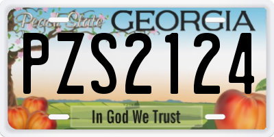 GA license plate PZS2124