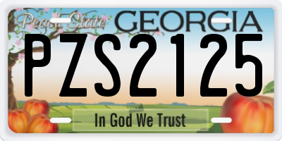 GA license plate PZS2125