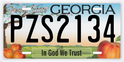 GA license plate PZS2134