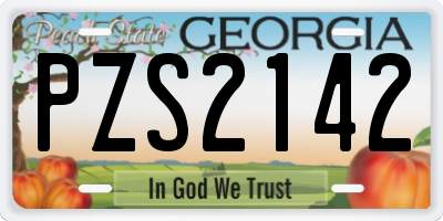 GA license plate PZS2142
