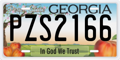 GA license plate PZS2166