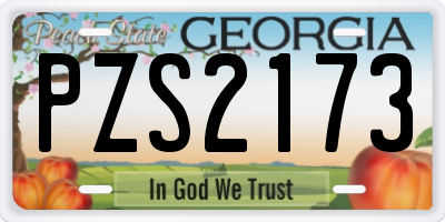 GA license plate PZS2173