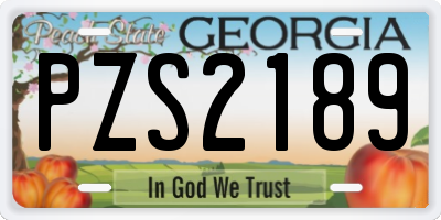 GA license plate PZS2189