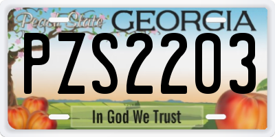GA license plate PZS2203