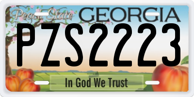GA license plate PZS2223