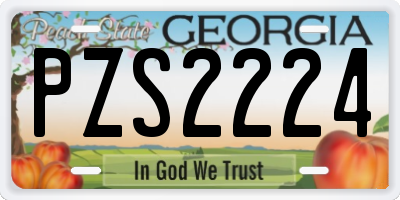 GA license plate PZS2224