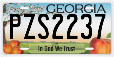 GA license plate PZS2237