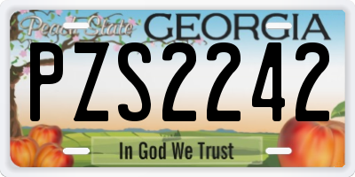 GA license plate PZS2242