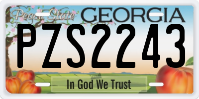 GA license plate PZS2243