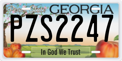GA license plate PZS2247