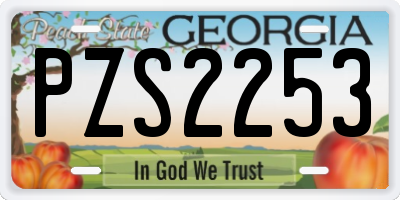 GA license plate PZS2253