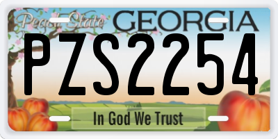 GA license plate PZS2254