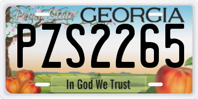 GA license plate PZS2265