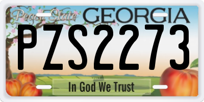 GA license plate PZS2273