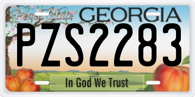 GA license plate PZS2283