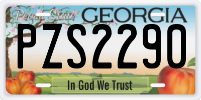 GA license plate PZS2290