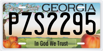 GA license plate PZS2295