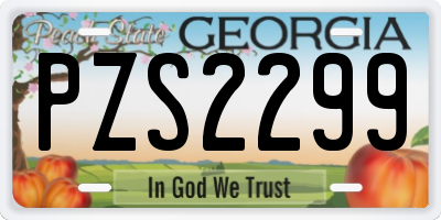 GA license plate PZS2299