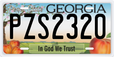 GA license plate PZS2320