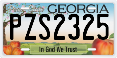 GA license plate PZS2325