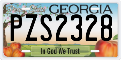 GA license plate PZS2328