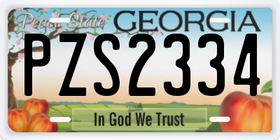 GA license plate PZS2334