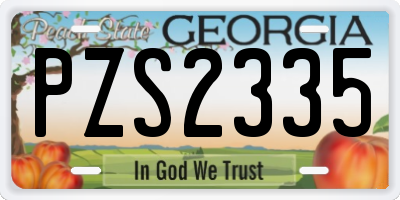 GA license plate PZS2335