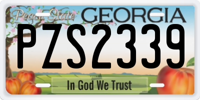 GA license plate PZS2339