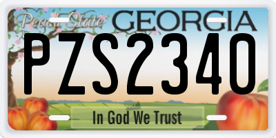 GA license plate PZS2340