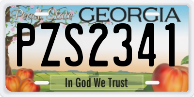 GA license plate PZS2341
