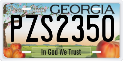 GA license plate PZS2350