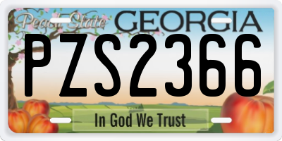 GA license plate PZS2366