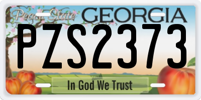 GA license plate PZS2373