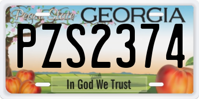 GA license plate PZS2374