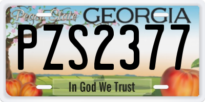 GA license plate PZS2377