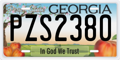 GA license plate PZS2380