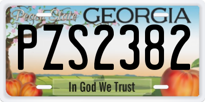 GA license plate PZS2382