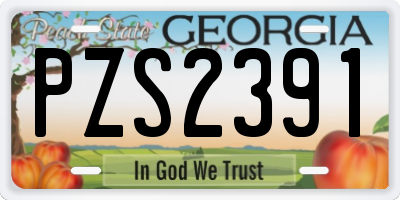 GA license plate PZS2391