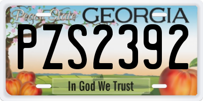 GA license plate PZS2392