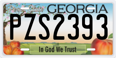 GA license plate PZS2393