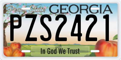 GA license plate PZS2421