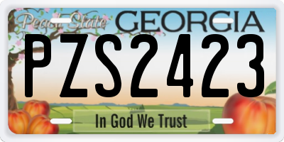 GA license plate PZS2423