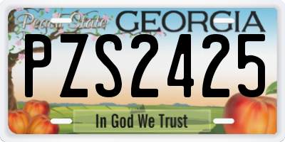 GA license plate PZS2425