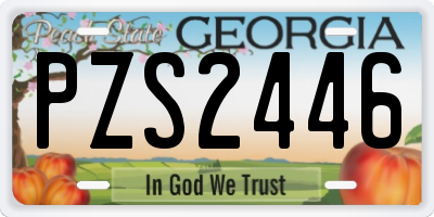GA license plate PZS2446